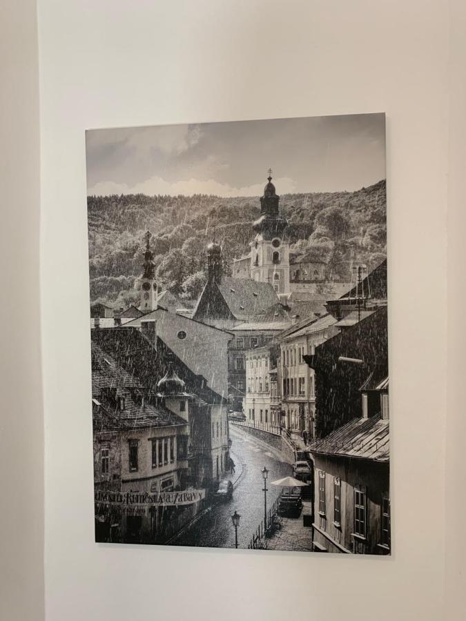 Apartman Pri Lyceu Banská Štiavnica 外观 照片